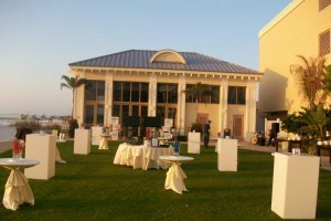 evolution-digital-2-copy